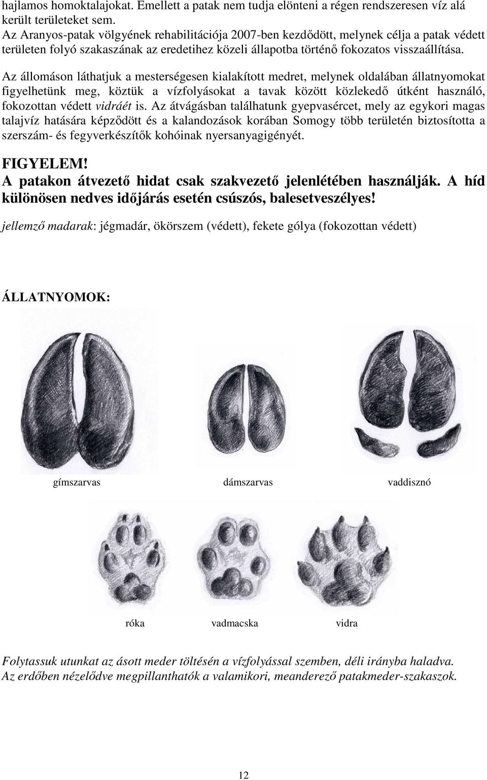 Az állomáson láthatjuk a mesterségesen kialakított medret, melynek oldalában állatnyomokat figyelhetünk meg, köztük a vízfolyásokat a tavak között közlekedı útként használó, fokozottan védett vidráét