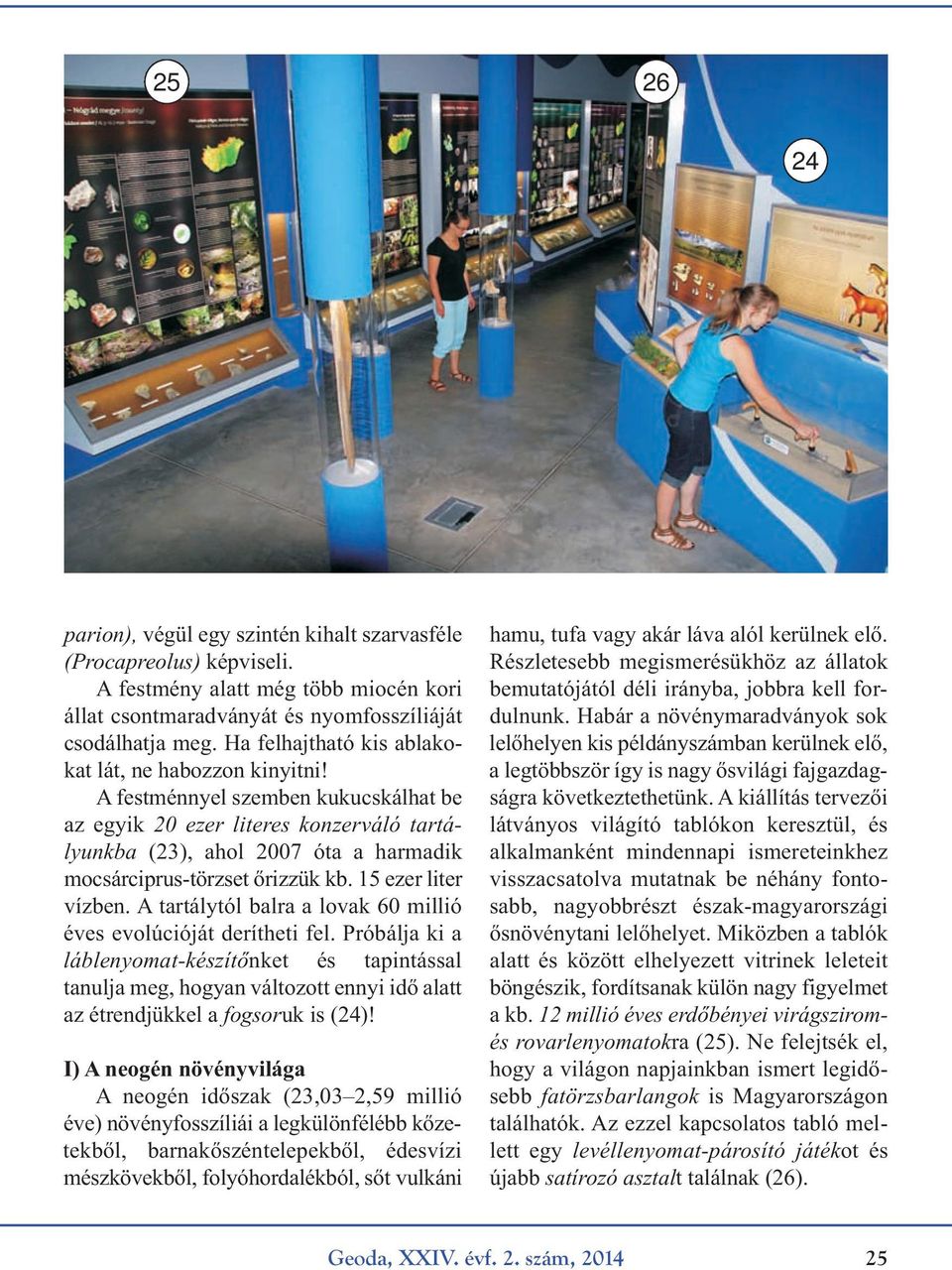 A festménnyel szemben kukucskálhat be az egyik 20 ezer literes konzerváló tartályunkba (23), ahol 2007 óta a harmadik mocsárciprus-törzset őrizzük kb. 15 ezer liter vízben.