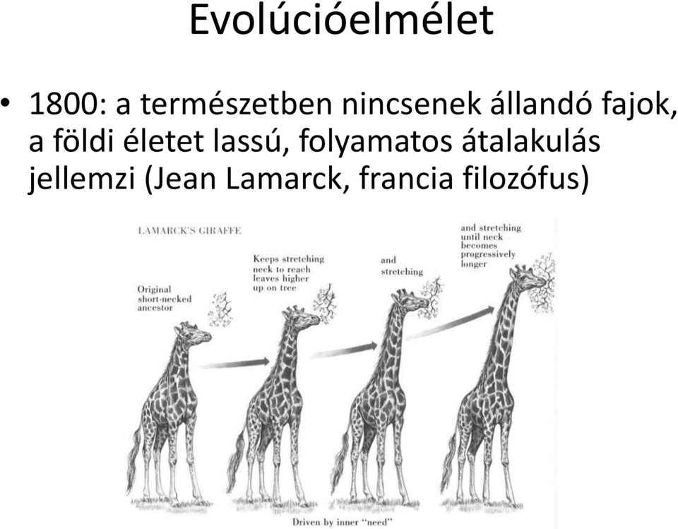 életet lassú, folyamatos átalakulás