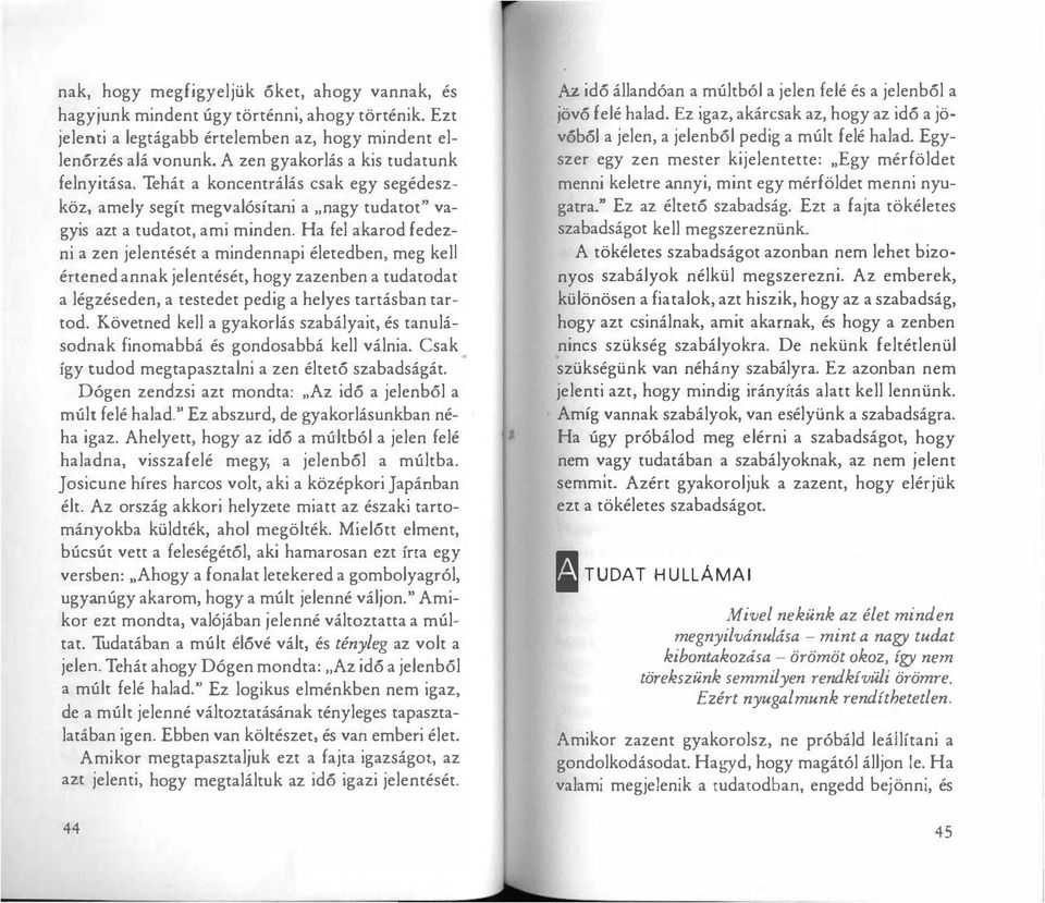 Ha fel akarod fedezni a zen jelentését a mindennapi életedben, meg kelj énened annak jelentését, hogy zazenben a tudatodat a légzéseden, a testedet pedig a helyes tartásban tartod.