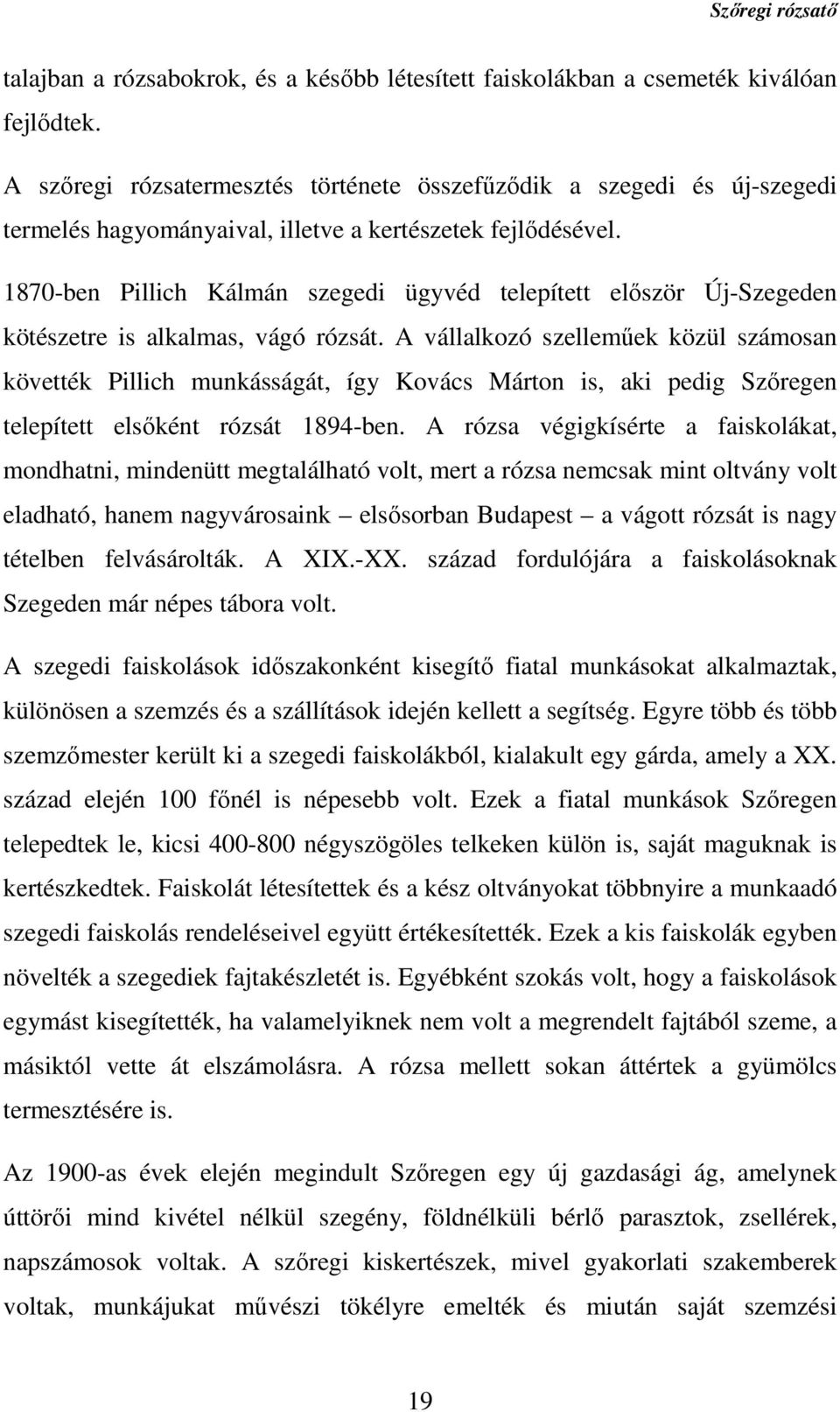 1870-ben Pillich Kálmán szegedi ügyvéd telepített először Új-Szegeden kötészetre is alkalmas, vágó rózsát.