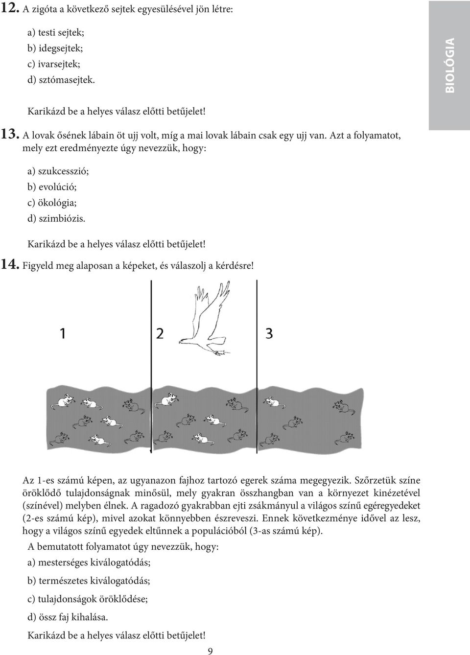 Karikázd be a helyes válasz előtti betűjelet! 14. Figyeld meg alaposan a képeket, és válaszolj a kérdésre! Az 1-es számú képen, az ugyanazon fajhoz tartozó egerek száma megegyezik.