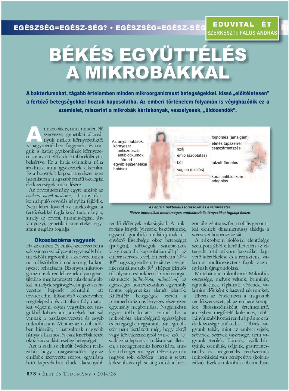 egé SZERKESZTI: FALUS ANDRÁS BÉKÉS EGYÜTTÉLÉS A MIKROBÁKKAL A baktériumokat, tágabb értelemben minden mikroorganizmust betegségekkel, kissé el ítéletesen a fert z betegségekkel hozzuk kapcsolatba.