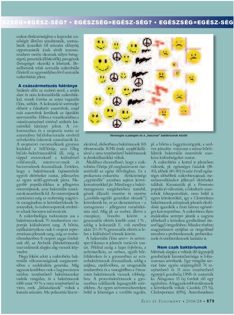 beteg séget), paraziták (élősködők), patogének (betegséget okozók) is lehetnek. e szélhetünk tehát normális mikrobiális flóráról: ez egyensúlyban lévő normális mikrobiótát jelent.