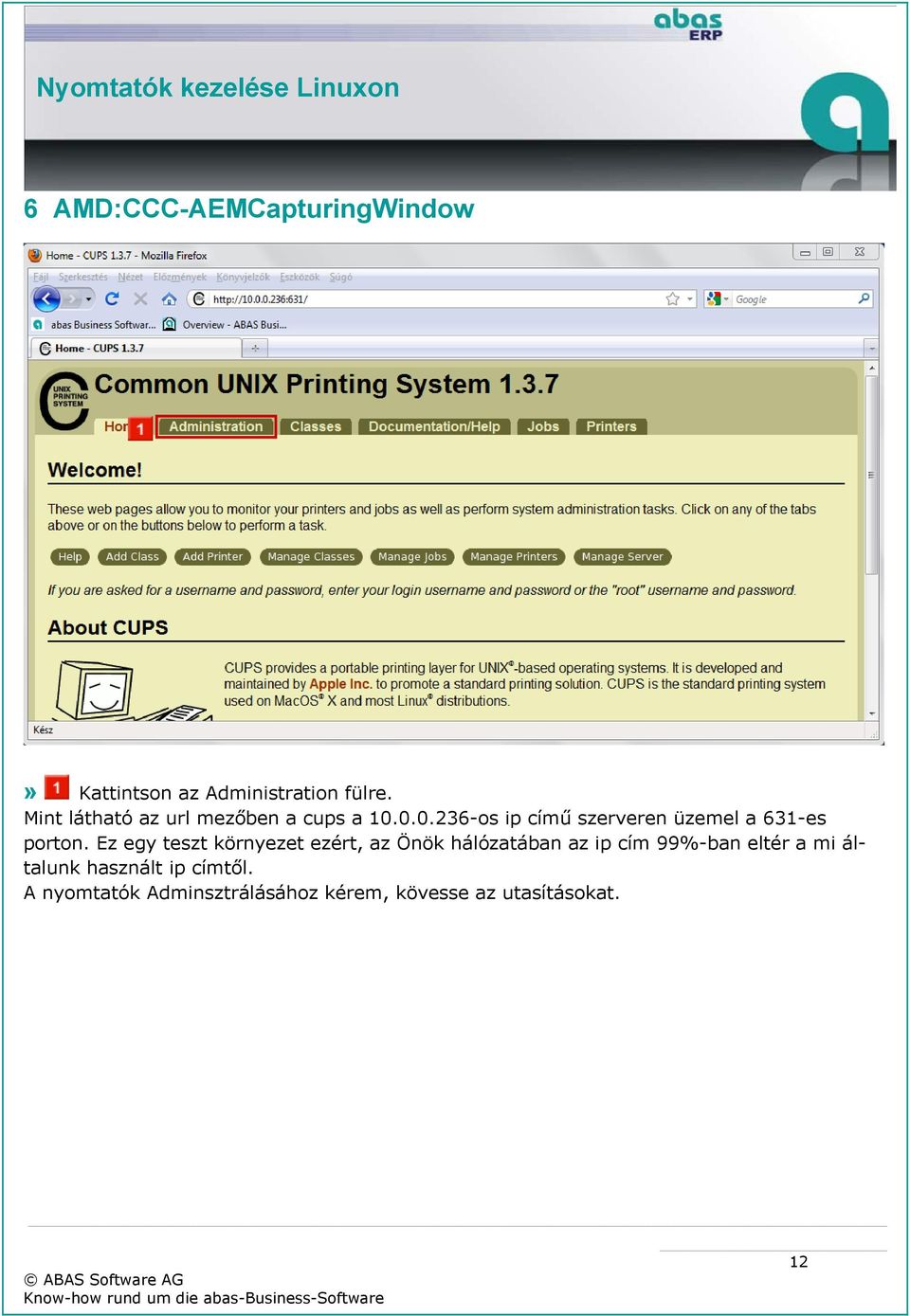 0.0.236-os ip című szerveren üzemel a 631-es porton.