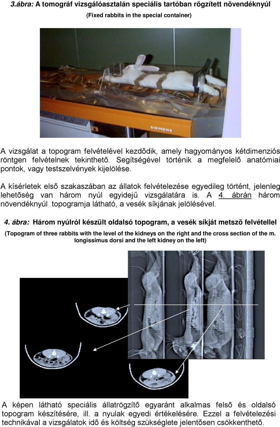 A kísérletek elsõ szakaszában az állatok felvételezése egyedileg történt, jelenleg lehetõség van három nyúl egyidejű vizsgálatára is. A 4.