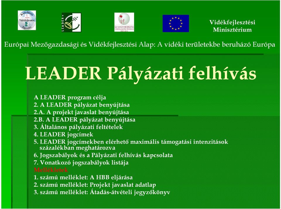 LEADER jogcímekben elérhetı maximális támogatási intenzitások százalékban meghatározva 6.