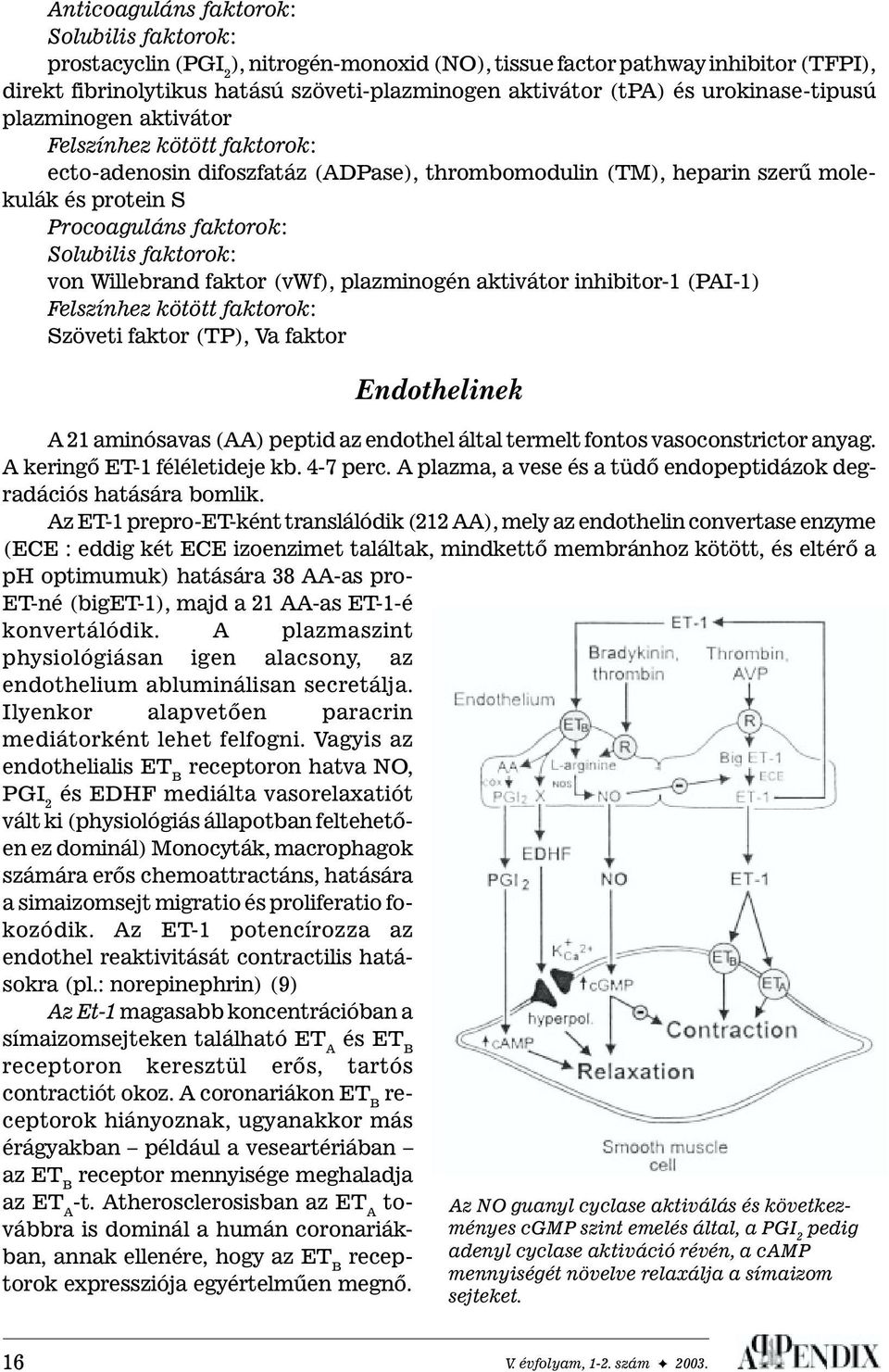 faktorok: von Willebrand faktor (vwf), plazminogén aktivátor inhibitor-1 (PAI-1) elszínhez kötött faktorok: Szöveti faktor (TP), Va faktor Endothelinek A 21 aminósavas (AA) peptid az endothel által