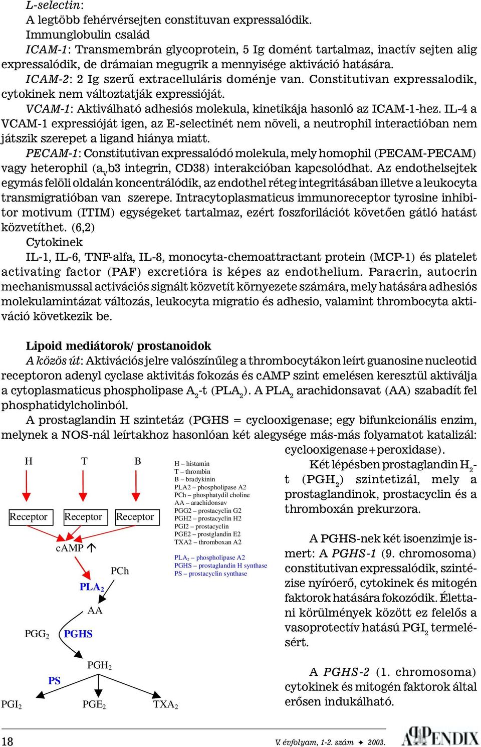 ICAM-2: 2 Ig szerû extracelluláris doménje van. Constitutivan expressalodik, cytokinek nem változtatják expressióját. VCAM-1: Aktiválható adhesiós molekula, kinetikája hasonló az ICAM-1-hez.