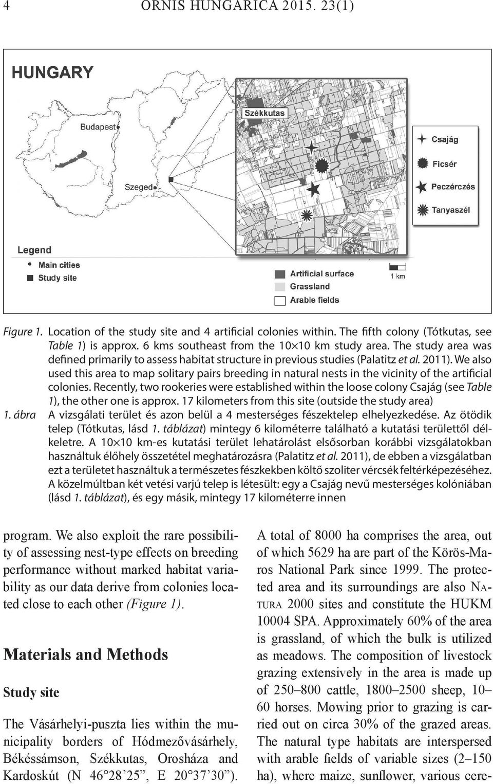 We also used this area to map solitary pairs breeding in natural nests in the vicinity of the artificial colonies.