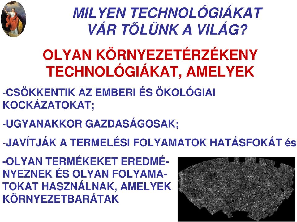 ÖKOLÓGIAI KOCKÁZATOKAT; -UGYANAKKOR GAZDASÁGOSAK; -JAVÍTJÁK A TERMELÉSI