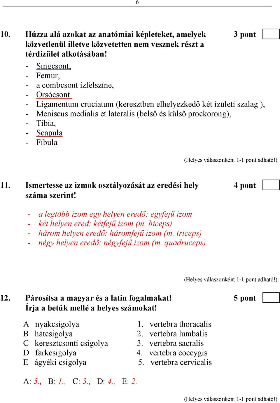 Ismertesse az izmok osztályozását az eredési hely 4 pont száma szerint! - a legtöbb izom egy helyen eredı: egyfejő izom - két helyen ered: kétfejő izom (m.