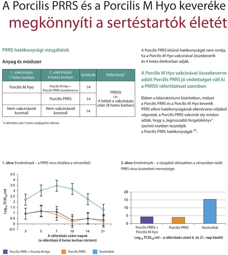 PRRSV i.n. 4 héttel a vakcinázás után (8 hetes korban) A Porcilis PRRS kitűnő hatékonyságát nem rontja, ha a vakcinával összekeverik és 4 hetes életkorban adják.