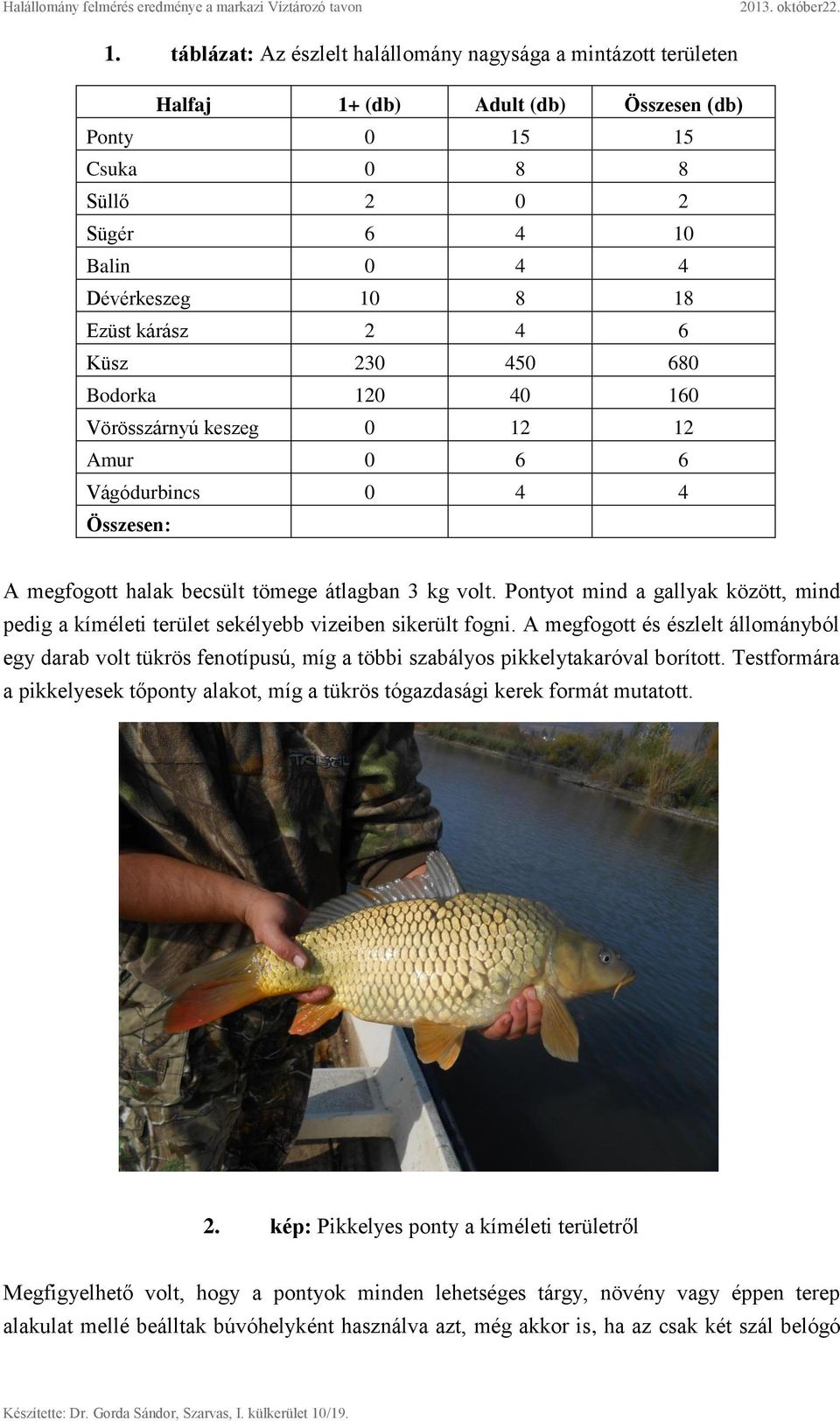 Pontyot mind a gallyak között, mind pedig a kíméleti terület sekélyebb vizeiben sikerült fogni.