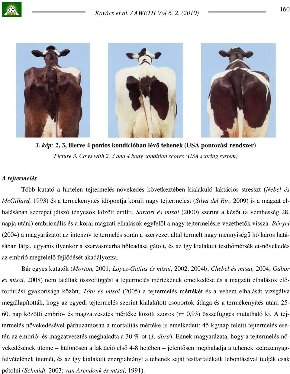 termékenyítés idıpontja körüli nagy tejtermelést (Silva del Rio, 2009) is a magzat elhalásában szerepet játszó tényezık között említi. Sartori és mtsai (2000) szerint a késıi (a vemhesség 28.