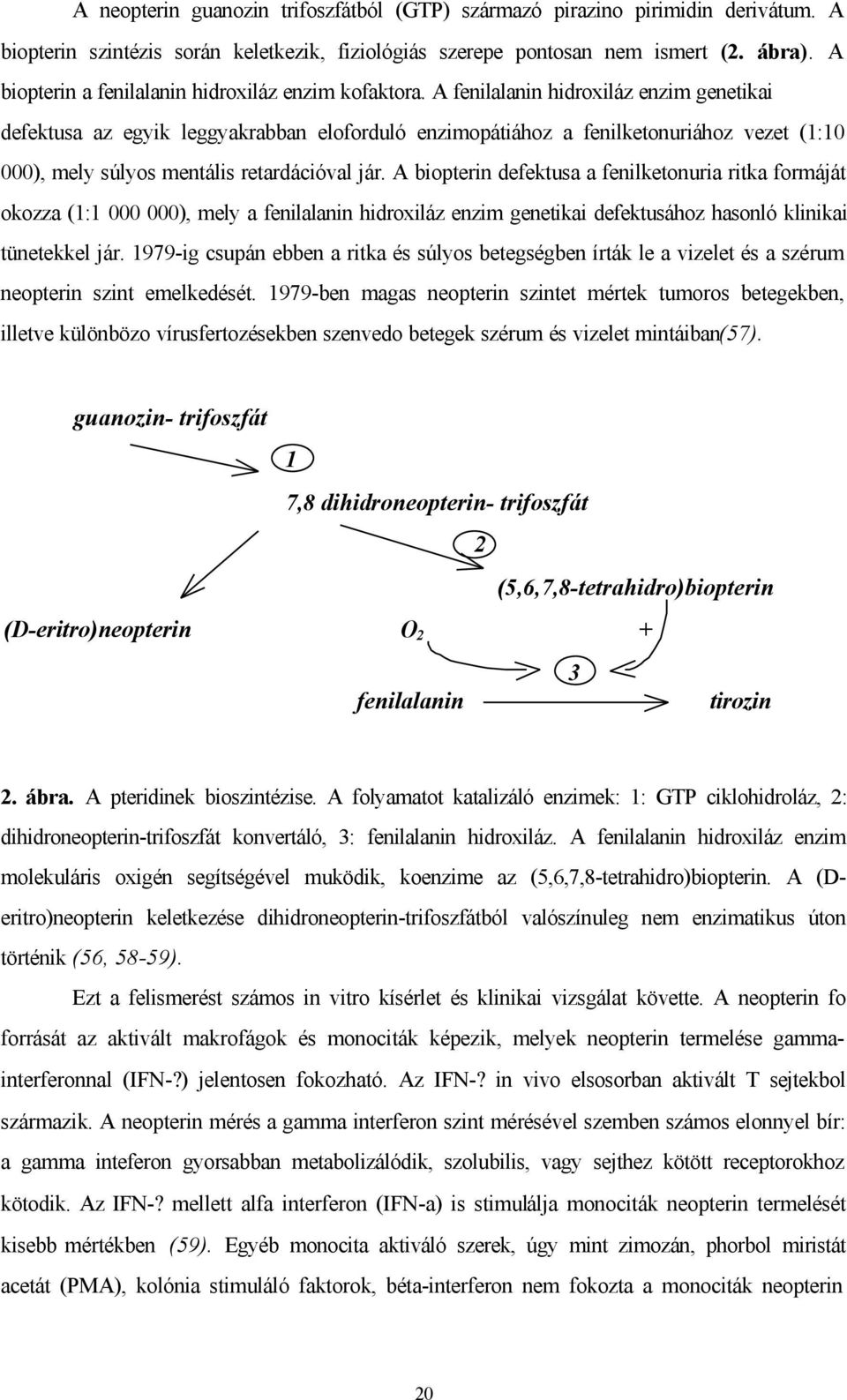 A fenilalanin hidroxiláz enzim genetikai defektusa az egyik leggyakrabban eloforduló enzimopátiához a fenilketonuriához vezet (1:10 000), mely súlyos mentális retardációval jár.