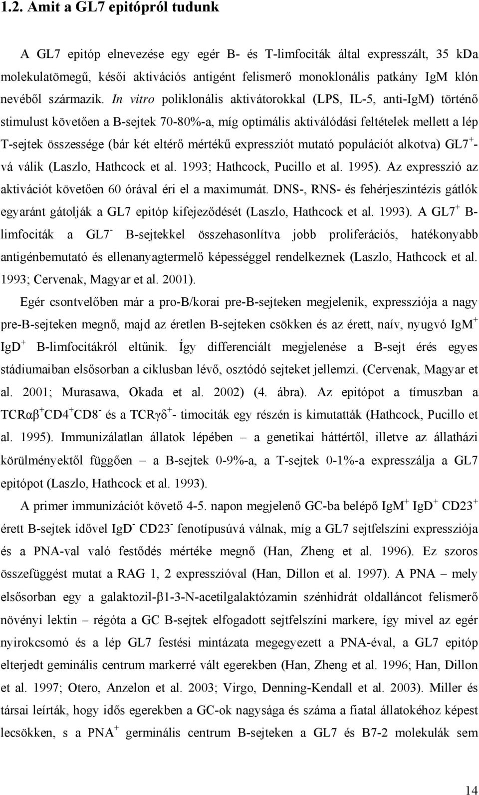 In vitro poliklonális aktivátorokkal (LPS, IL-5, anti-igm) történő stimulust követően a B-sejtek 70-80%-a, míg optimális aktiválódási feltételek mellett a lép T-sejtek összessége (bár két eltérő