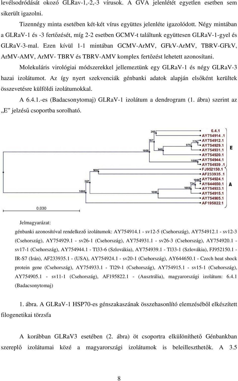 Ezen kívül 1-1 mintában GCMV-ArMV, GFkV-ArMV, TBRV-GFkV, ArMV-AMV, ArMV- TBRV és TBRV-AMV komplex fertızést lehetett azonosítani.