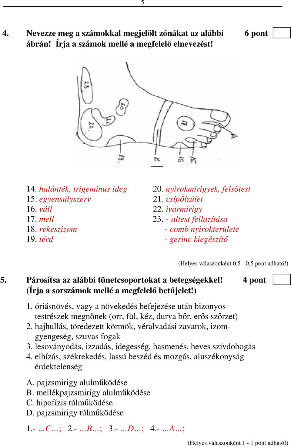 4 pont (Írja a sorszámok mellé a megfelel bet jelet!) 1. óriásnövés, vagy a növekedés befejezése után bizonyos testrészek megn nek (orr, fül, kéz, durva b r, er s sz rzet) 2.