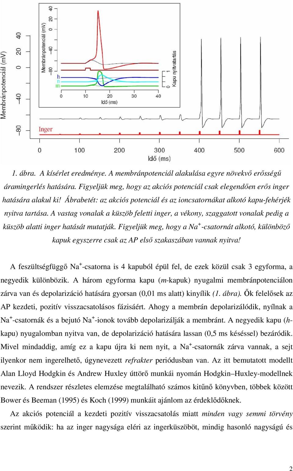 A vastag vonalak a küszöb feletti inger, a vékony, szaggatott vonalak pedig a küszöb alatti inger hatását utatják.