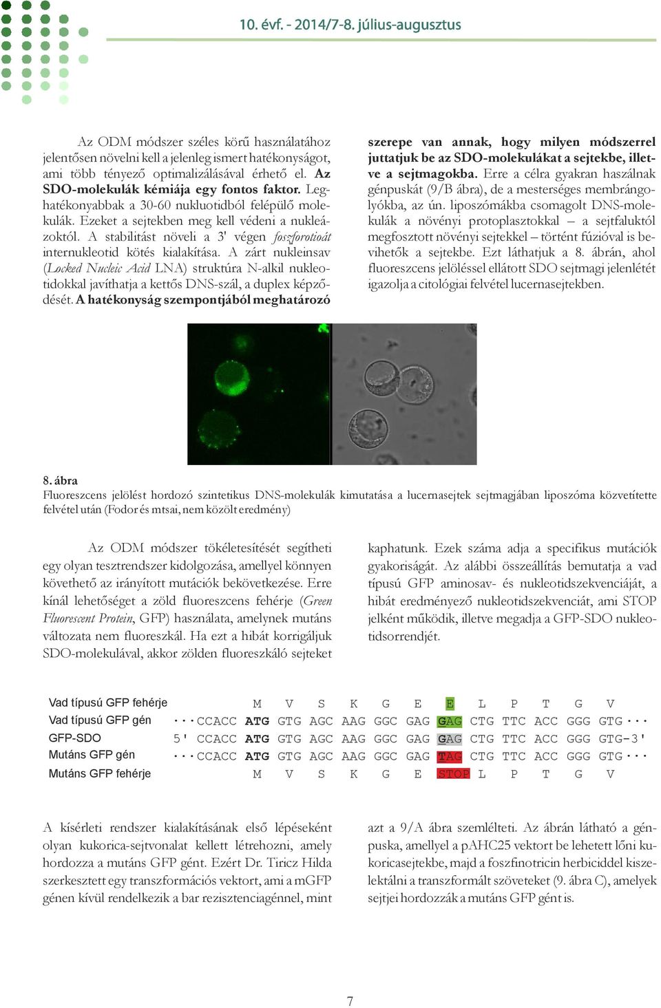 A zárt nukleinsav ( Locked Nucleic Acid LNA) struktúra N-alkil nukleotidokkal javíthatja a kettős DNS-szál, a duplex képződését.