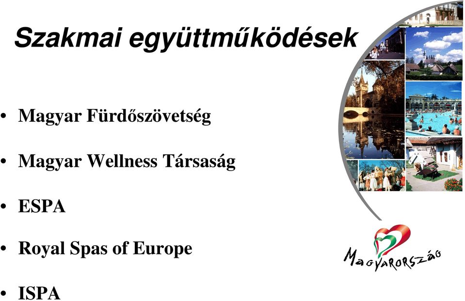 Magyar Wellness Társaság