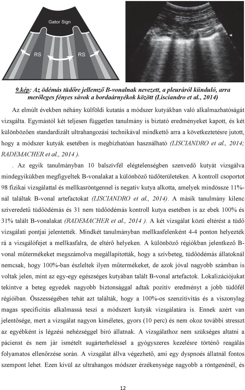 Egymástól két teljesen független tanulmány is biztató eredményeket kapott, és két különbözően standardizált ultrahangozási technikával mindkettő arra a következtetésre jutott, hogy a módszer kutyák