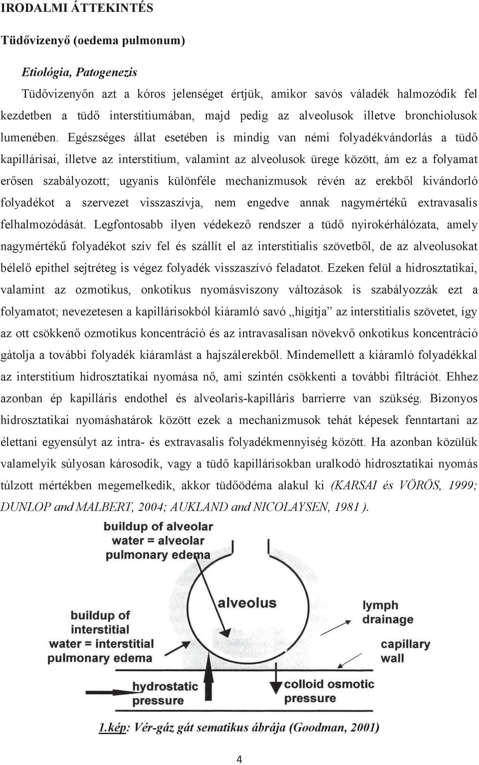 Egészséges állat esetében is mindig van némi folyadékvándorlás a tüdő kapillárisai, illetve az interstitium, valamint az alveolusok ürege között, ám ez a folyamat erősen szabályozott; ugyanis