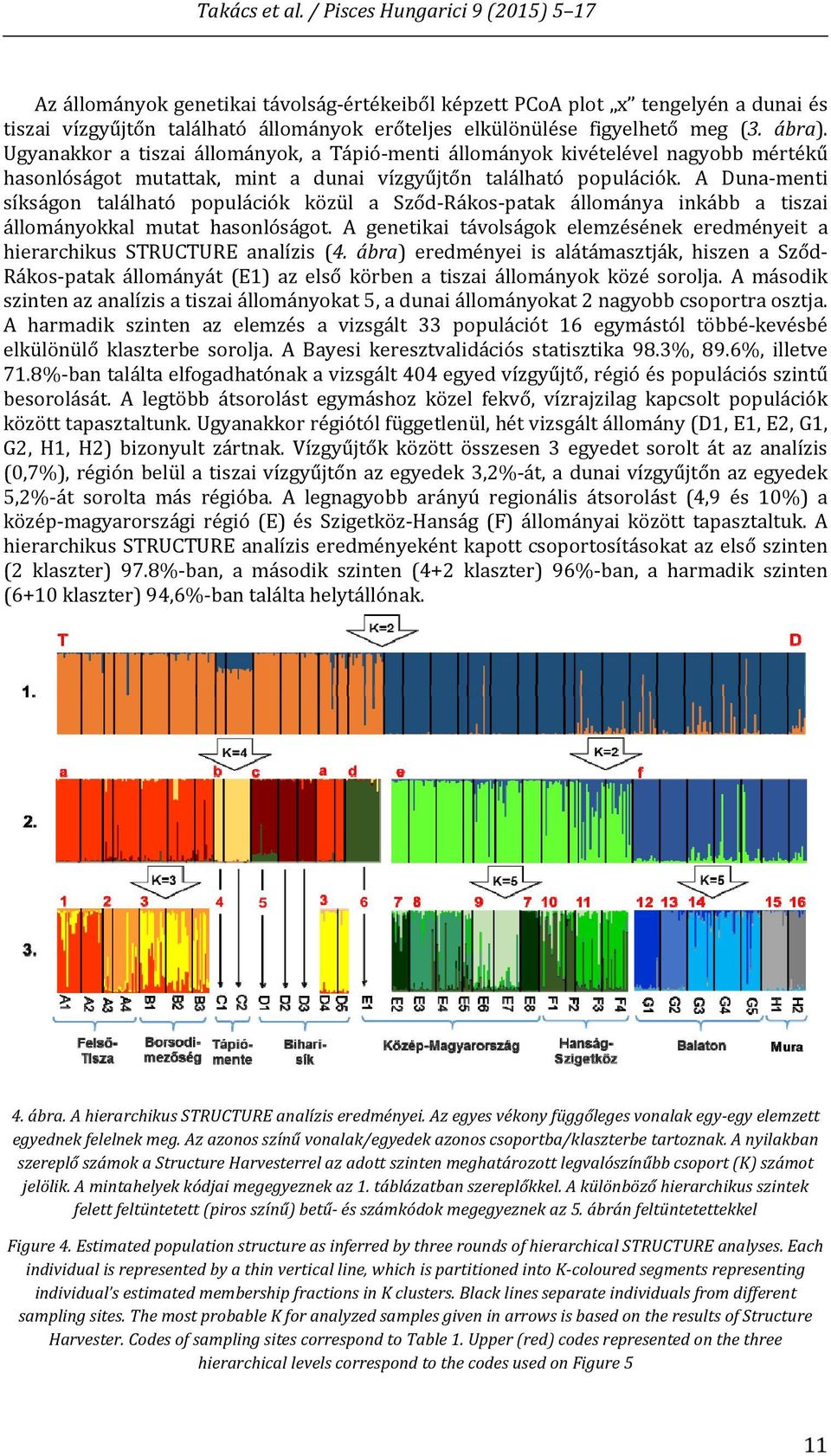 ábra). Ugyanakkor a tiszai állományok, a Tápió menti állományok kivételével nagyobb mértékű hasonlóságot mutattak, mint a dunai vízgyűjtőn található populációk.