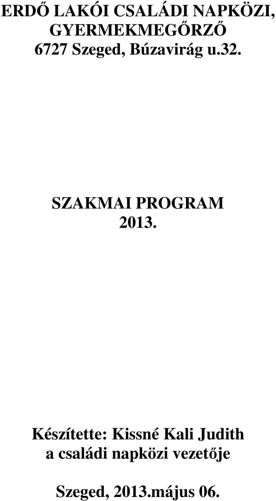 SZAKMAI PROGRAM 2013.