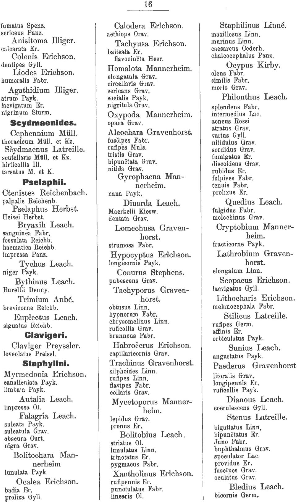 Pselaphus Herbst. Heisei Herbst. Bryarih Leach. sanguinea Fabr. fossulata Reichb. haernatica Reichb. irnpressa Panz. Tychus Leach. nigsr Payk. Bythinus Leach. Burellii D enny. Trimium Anbé.