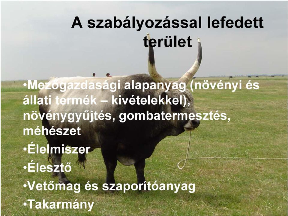 kivételekkel), növénygyőjtés, gombatermesztés,