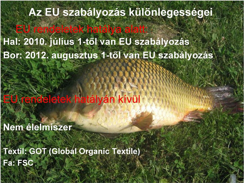 július 1-tıl van EU szabályozás Bor: 2012.