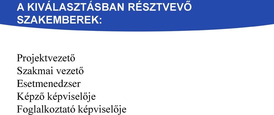 Szakmai vezető Esetmenedzser