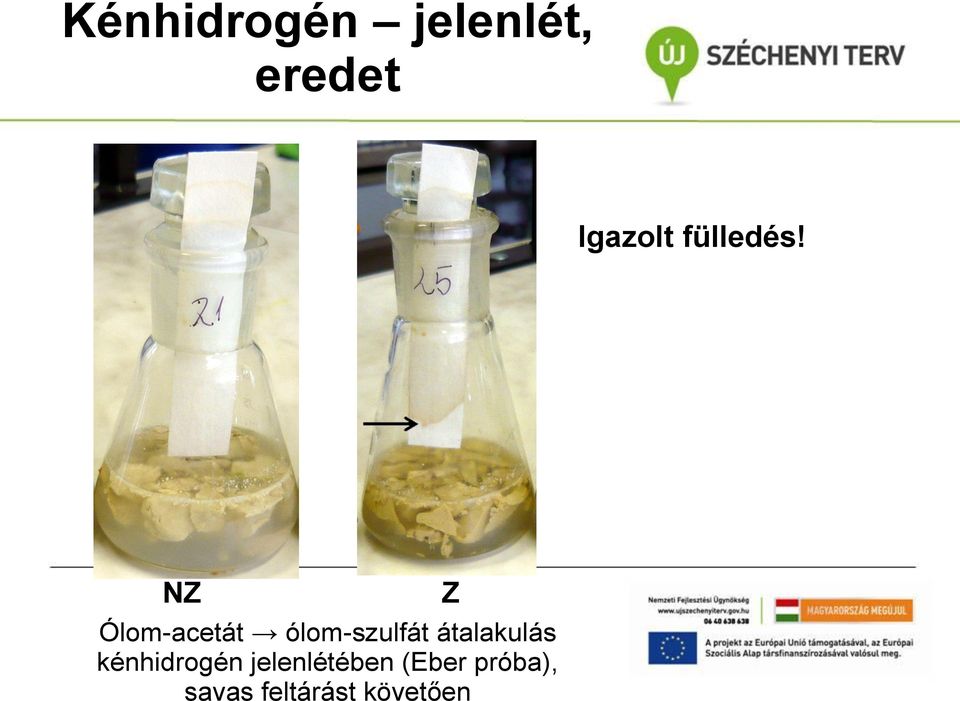 NZ Ólom-acetát ólom-szulfát