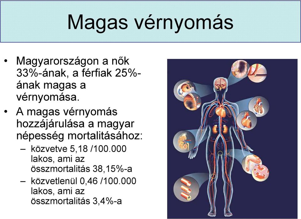 A magas vérnyomás hozzájárulása a magyar népesség mortalitásához: