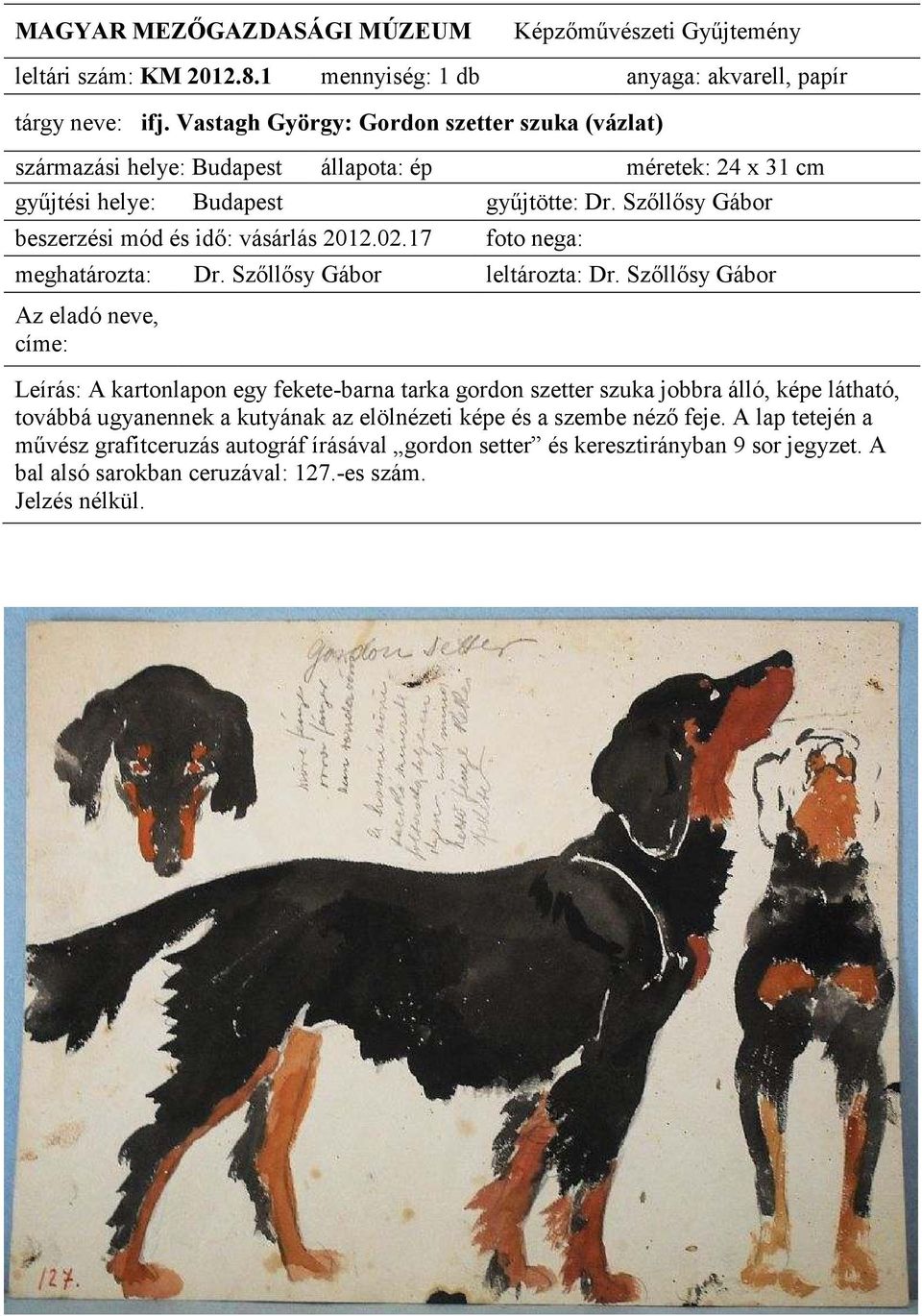 egy fekete-barna tarka gordon szetter szuka jobbra álló, képe látható, továbbá ugyanennek a kutyának az elölnézeti képe és a