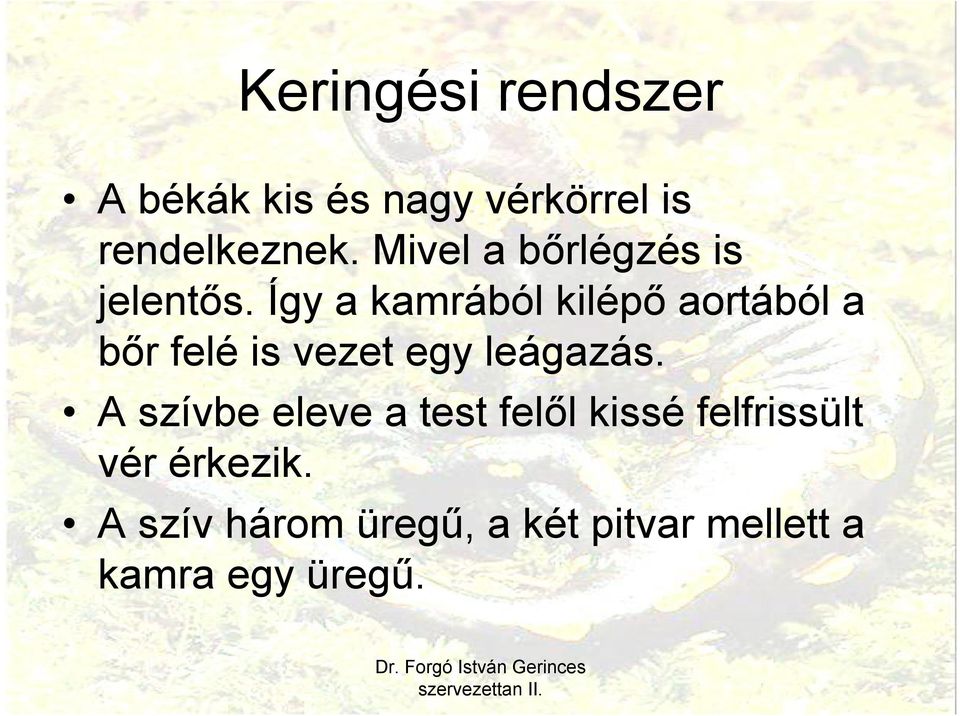 Így a kamrából kilépő aortából a bőr felé is vezet egy leágazás.