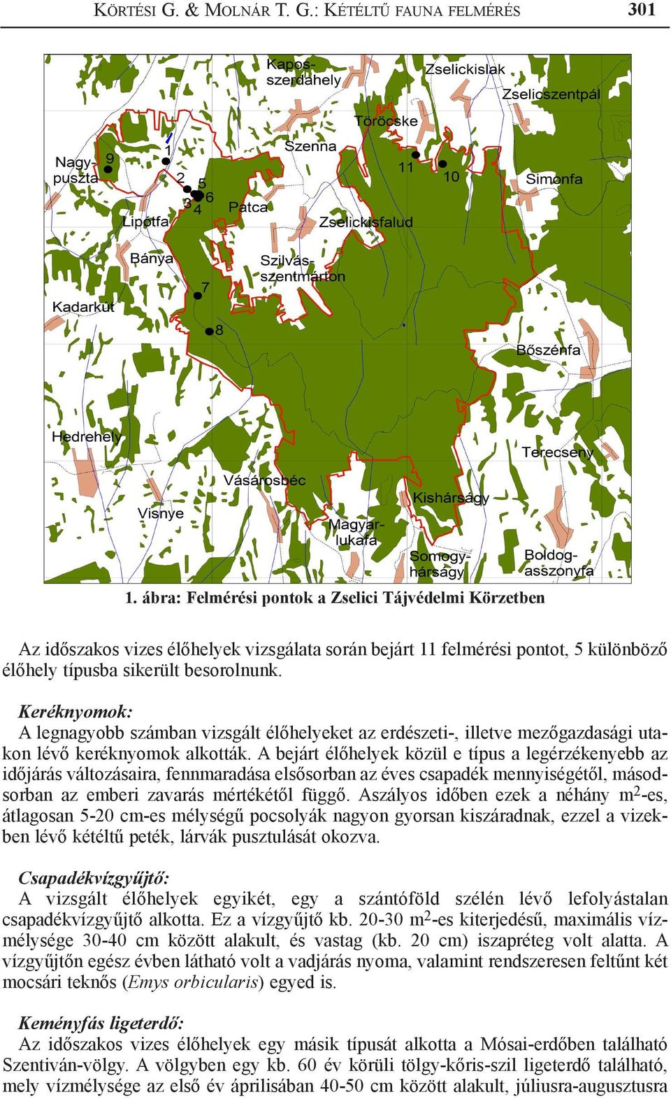 Keréknyomok: A legnagyobb számban vizsgált élőhelyeket az erdészeti-, illetve mezőgazdasági utakon lévő keréknyomok alkották.