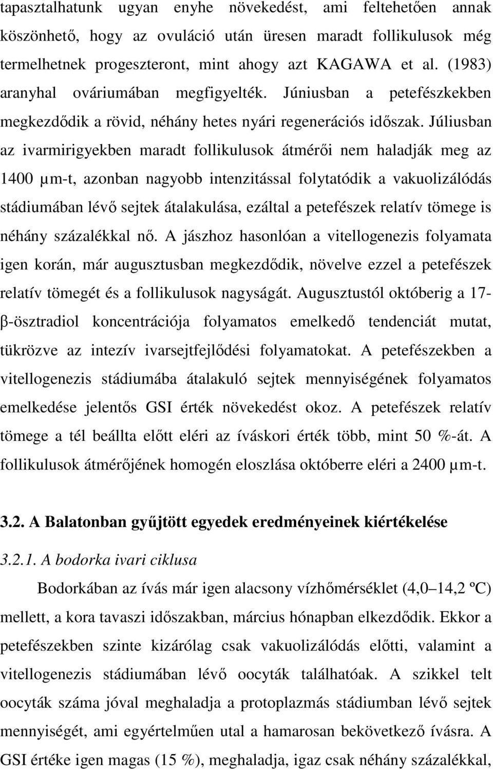 Júliusban az ivarmirigyekben maradt follikulusok átmérıi nem haladják meg az 1400 µm-t, azonban nagyobb intenzitással folytatódik a vakuolizálódás stádiumában lévı sejtek átalakulása, ezáltal a