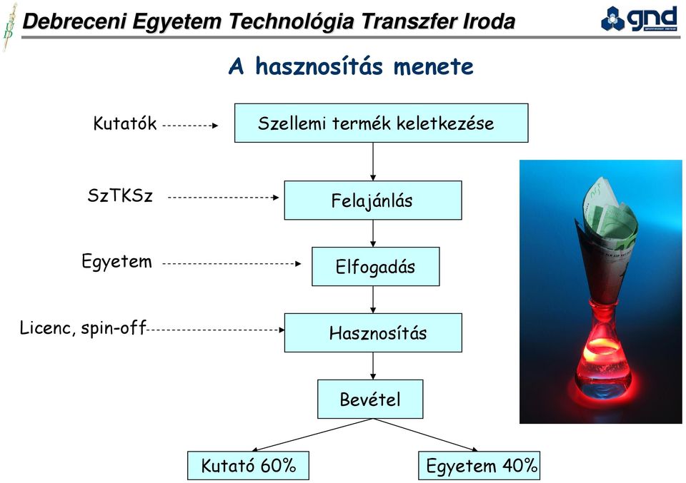 Egyetem Elfogadás Licenc, spin-off