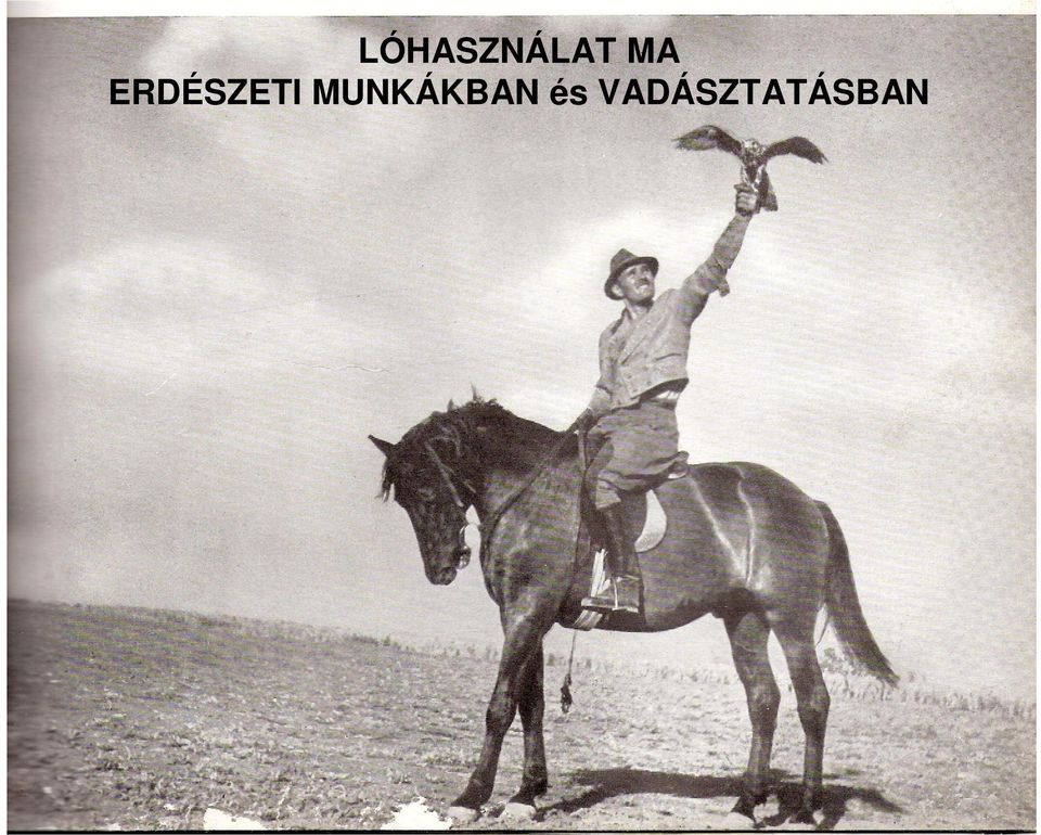 MUNKÁKBAN és