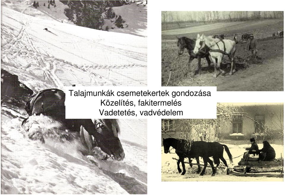 gondozása Közelítés,