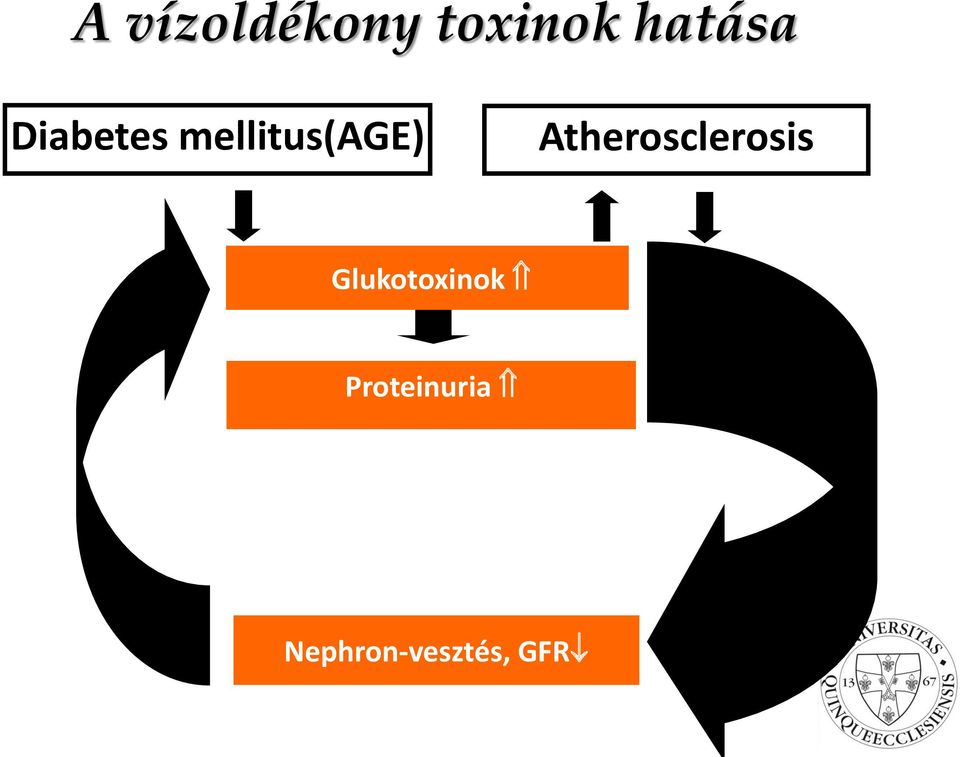 Atherosclerosis Glukotoxinok