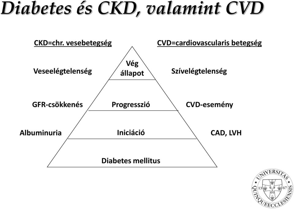 CVD=cardiovascularis betegség Szívelégtelenség
