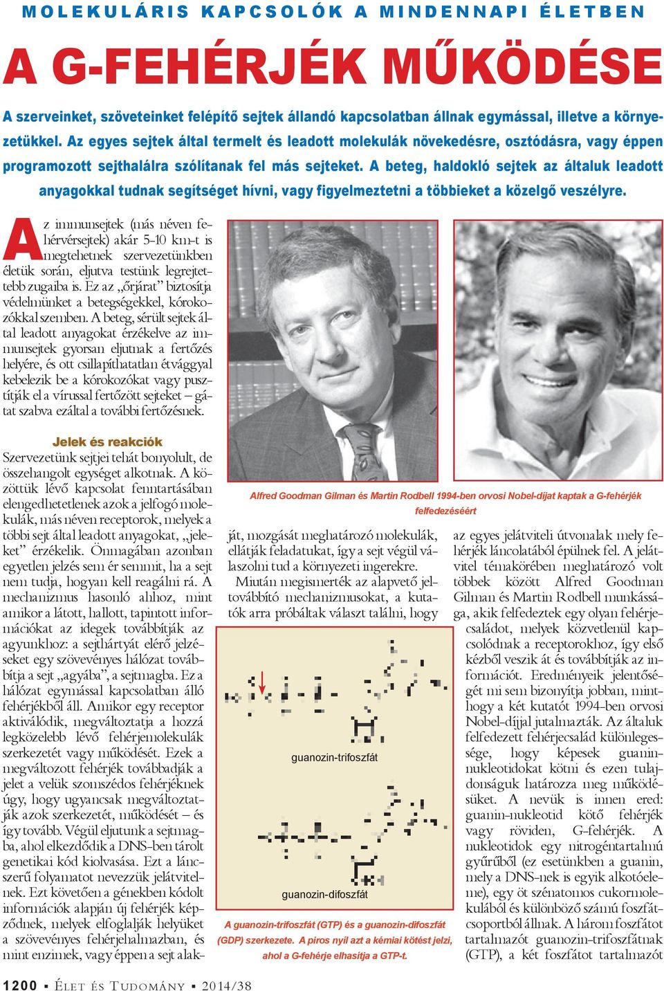 A beteg, haldokló sejtek az általuk leadott anyagokkal tudnak segítséget hívni, vagy figyelmeztetni a többieket a közelg veszélyre.