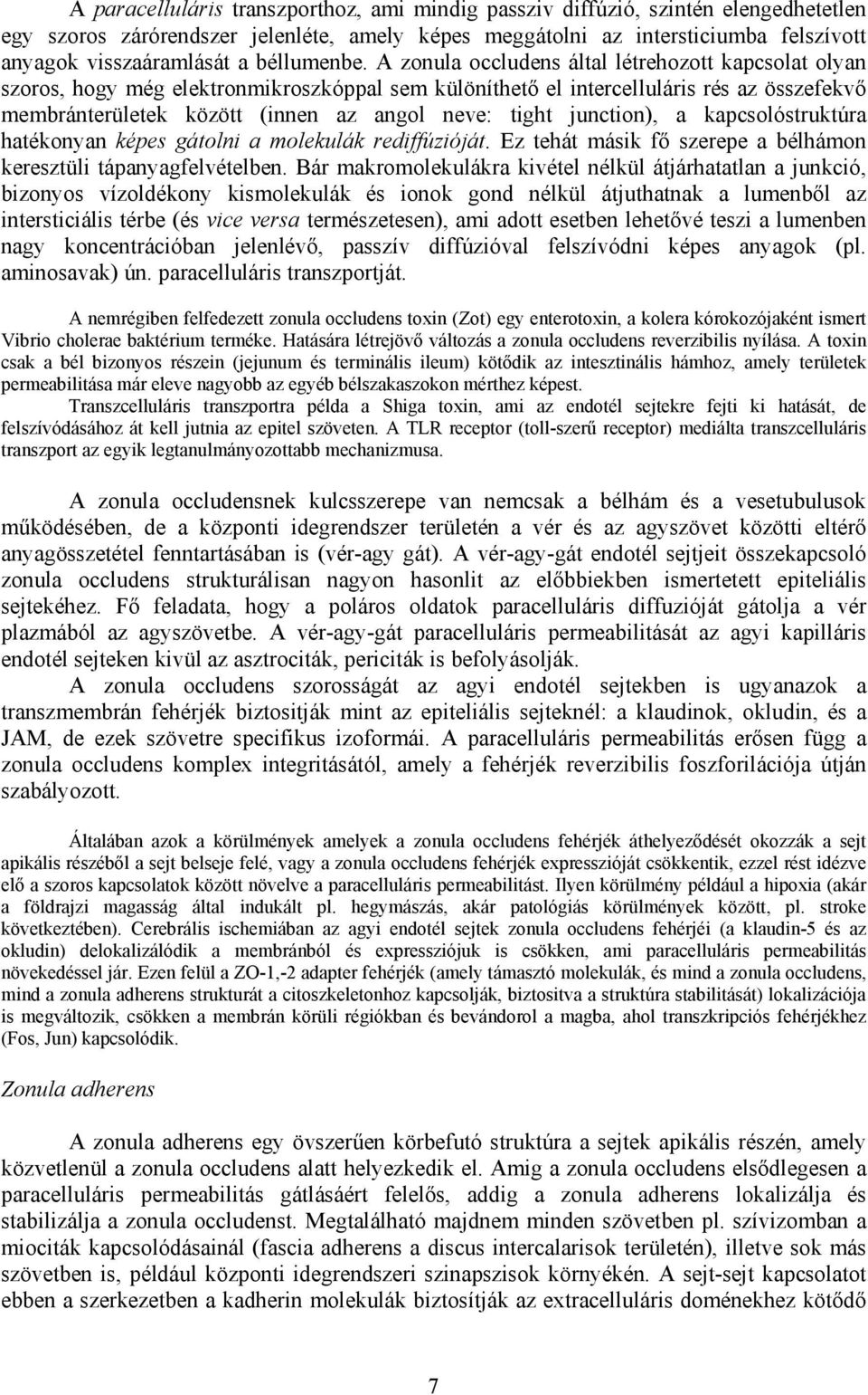 A zonula occludens által létrehozott kapcsolat olyan szoros, hogy még elektronmikroszkóppal sem különíthető el intercelluláris rés az összefekvő membránterületek között (innen az angol neve: tight