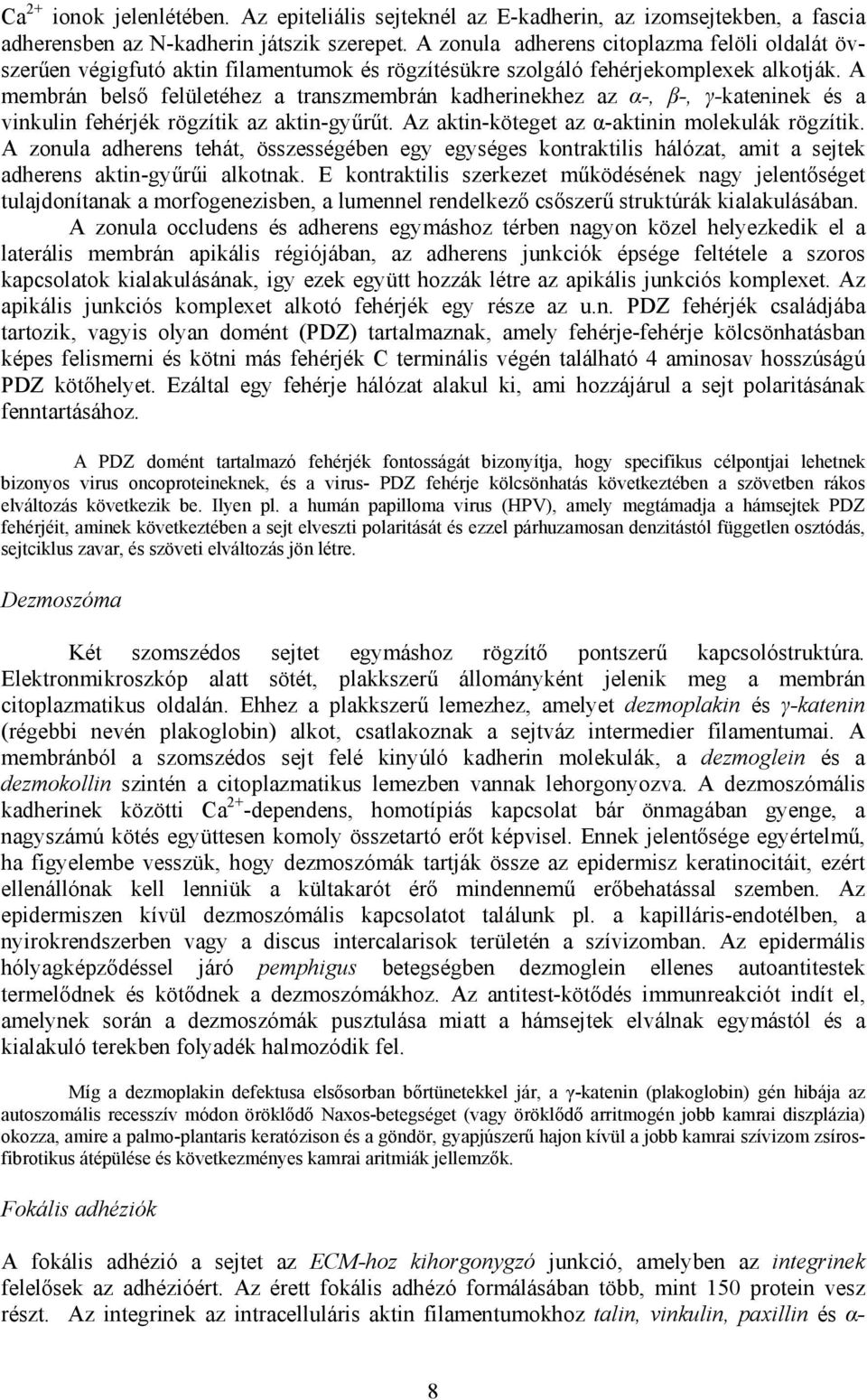 A membrán belső felületéhez a transzmembrán kadherinekhez az α-, β-, γ-kateninek és a vinkulin fehérjék rögzítik az aktin-gyűrűt. Az aktin-köteget az α-aktinin molekulák rögzítik.