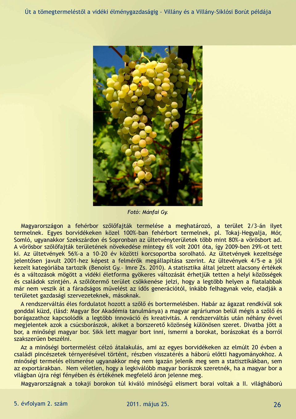 A vörösbor szőlőfajták területének növekedése mintegy 6% volt 2001 óta, így 2009-ben 29%-ot tett ki. Az ültetvények 56%-a a 10-20 év közötti korcsoportba sorolható.