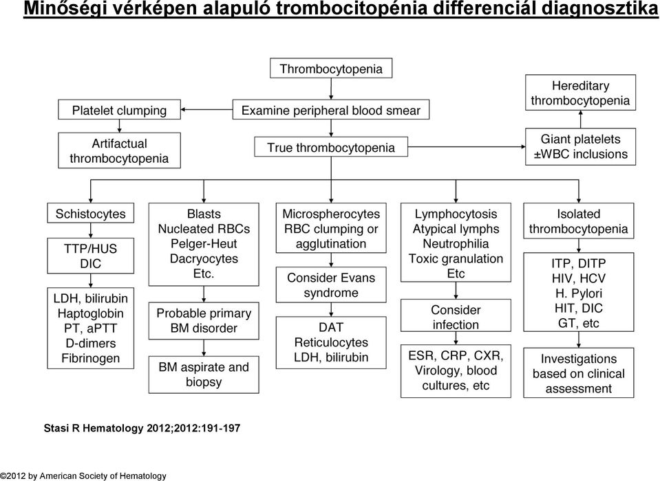 diagnosztika Stasi R Hematology